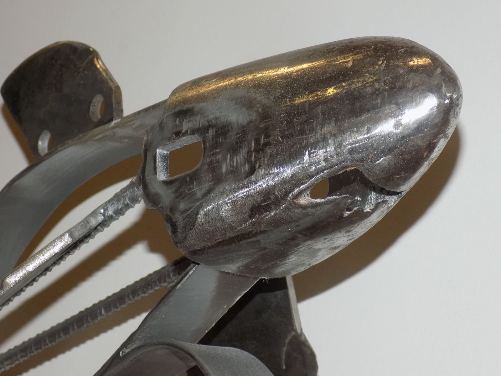 “Tiburón Ballena” - Imagen 3